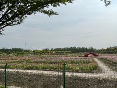 -嘉北郊野公园