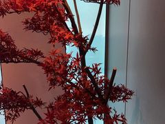 -澜·庭汇SPA会所(涉外店)