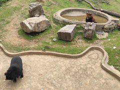 -无锡动物园·太湖欢乐园