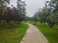 -东郊湿地公园
