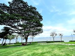 -深圳湾公园(南山区)