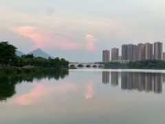 -飞来湖湿地公园