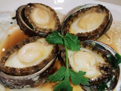 陈皮蒸鲍鱼-金塘胜宴(石湾店)