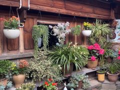 -龙姐私房菜(和顺古镇店)