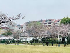 -新虹桥中心花园