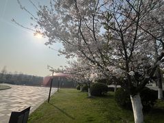 -崔记拉面馆(航北店)