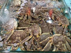 -渔民新村(番禺总店)