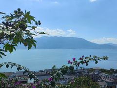 -大理洱海