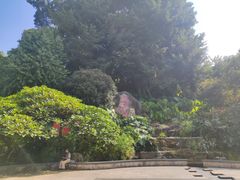 -乌山风景区