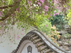 -深圳国际园林花卉博览园