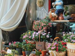 -循礼门鲜花花市(武汉循礼门店)