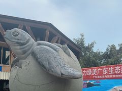 -广东惠东海龟国家级自然保护区