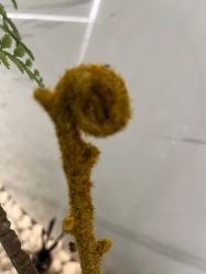 -铂诗玥医美