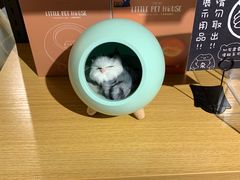 -九木杂物社(江宁金鹰广场店)