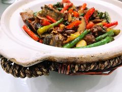 -院8里·少城记忆老川菜(宽窄巷子店)