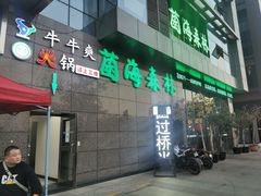 -菌海森林·非遗野生菌火锅(西山区滇池路摩根道店)