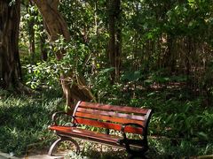 -深圳国际园林花卉博览园