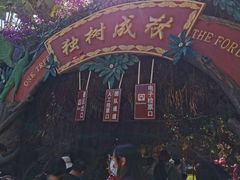 -瑞丽独树成林风景区