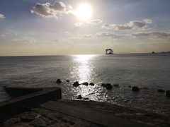 -南汇嘴观海公园