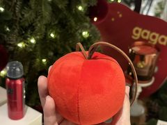 -gaga(深圳福田星河COCO Park店)