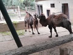 -昆明动物园