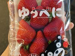 -油麻地果栏