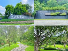 -云溪植物园