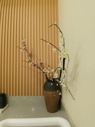 -宥莉·ULLY 痘敏肌•科技皮肤管理中心