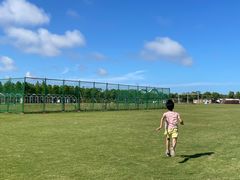 -春花秋色城市公园