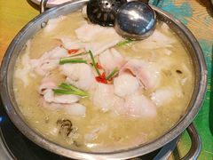 -朝阳酸菜鱼休闲餐厅