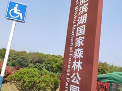 -合肥滨湖国家森林公园