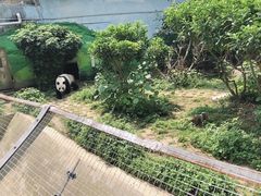 -柳州市动物园