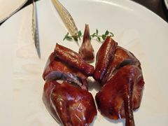 -甄御•海鲜新青岛菜(麦岛店)