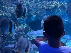 -海合安成都极地海洋公园
