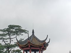 -顺峰山公园