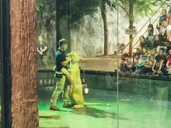 -清迈夜间动物园