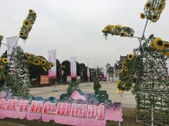 -金卉庄园