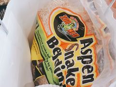 -酷以爬仙阁实体爬宠店·守宫·蜥蜴·专业繁育