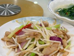 小炒菊花心-姚林轩