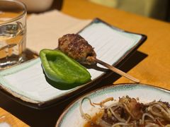 鸡肉丸-TINY