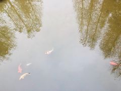 -云溪植物园