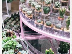 -KKV(深圳宏发大仟里店)