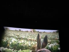 -金逸影城(中关村店)