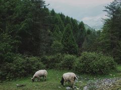-硗碛藏寨·神木垒景区