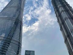 -上海柏悦酒店