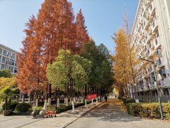 -杭州电子科技大学(下沙校区)