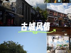 -段公子·精品云南菜