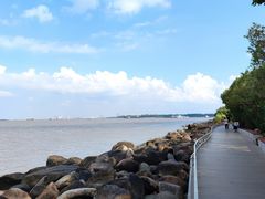 -上海吴淞炮台湾国家湿地公园