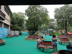 -苏州乐园森林水世界