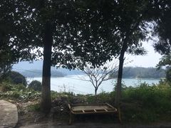 -广州市流溪河国家森林公园